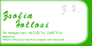 zsofia hollosi business card